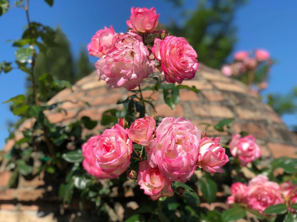 Agriturismo Casale Giulia Βολτέρρα Εξωτερικό φωτογραφία